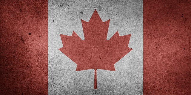 canada Questions To Ask When Buying A Business