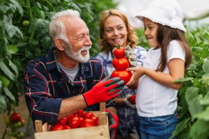 bigstock-Family-Working-Together-In-Gre-451053693